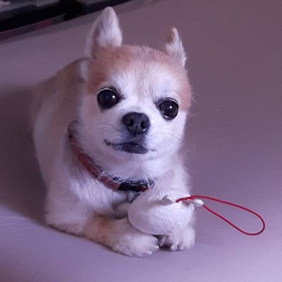 IlUxtoLTXpaqDCg's profile picture. 