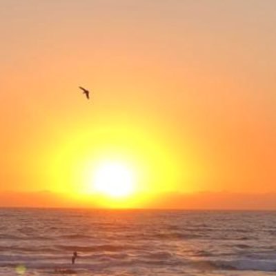 p_diaz's profile picture. 