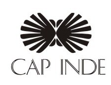 Cap Inde Value Chain Solutions Pvt. Ltd. is a start-up with a vision is to create and to help create best in class businesses through collaboration.