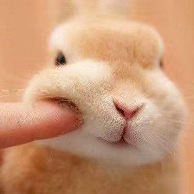 コノ💚さんのプロフィール画像