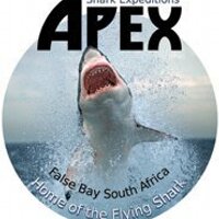 Chris Fallows (@apexsharks) 's Twitter Profile