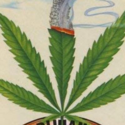 🍁🌿タケル🌿🍁 (tomokoamagami0) Twitter