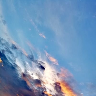 PRMR83's profile picture. 