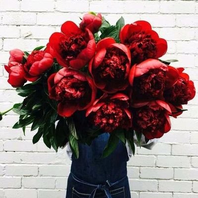 ♥SKAI JACKSON♥💐💄💄, 💖ROYALTY💖 DANI💖CHRIS BROWN💖💖😚LILIMAR😘