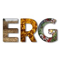 Engelberth Research Group (@bio_erg) 's Twitter Profile