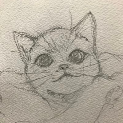 ツブヤキ猫の個人的読書記録さんのプロフィール画像
