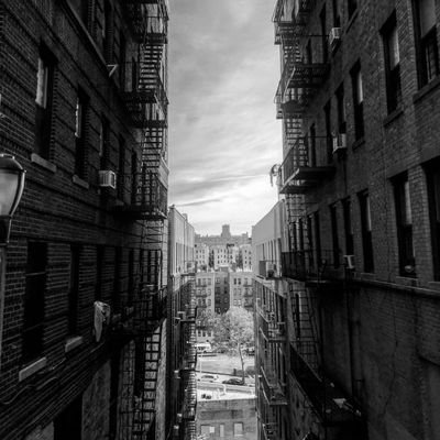 E_manu_ell's profile picture. Are you human or robot?