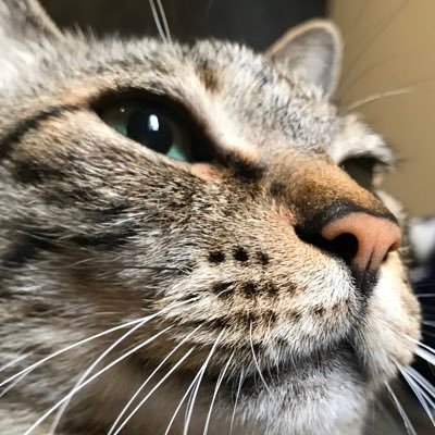 znygRo6f9NBsQ5d's profile picture. 