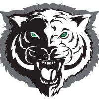 TCTIGERS (@tctigers) 's Twitter Profile