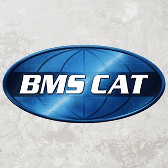 bmscat Profile Picture