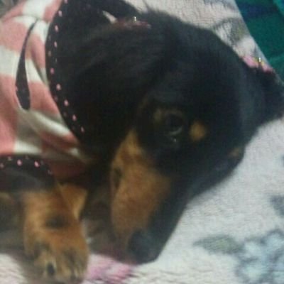 YLZrXTk3S2yLBtq's profile picture. 