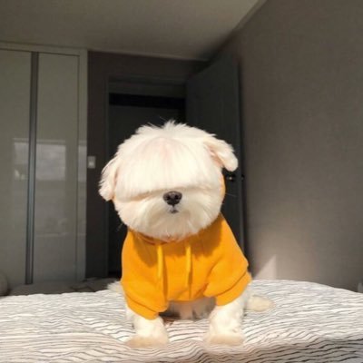 ⁰⁹/₀₆