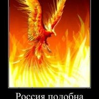 Елисеев Николай (@fanto117) 's Twitter Profile Photo Елисеев Николай (@fanto117) 's Twitter Profile Photo