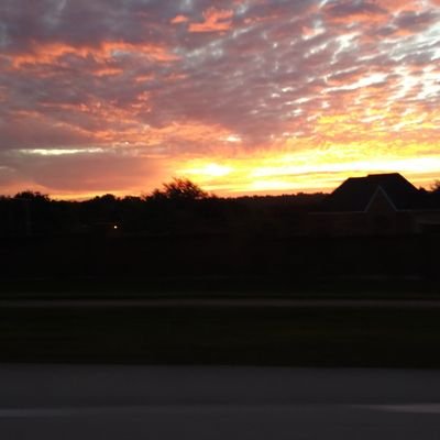 cinnamongirl55's profile picture. 