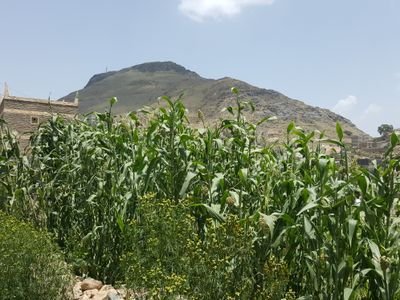 hasangamoom's profile picture. خيركم انفعكم للناس