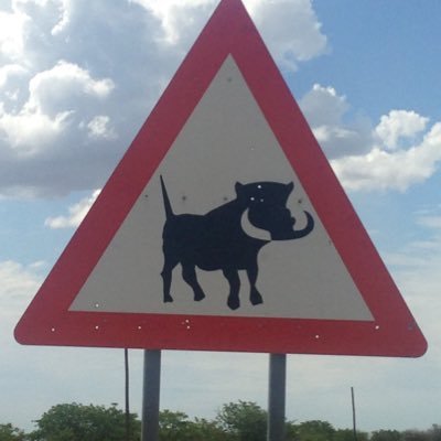 FSTP_1's profile picture. _