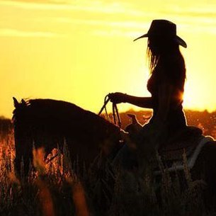 Kingsley8881's profile picture. Ride into the Sunset...……..