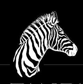 Specialist in Private Guided Safaris in Kenya and Tanzania. 🦅🦓🐘
TOP 9 PLACES TO VISIT IN KENYA IN 2019 🧡🧡🧡
https://t.co/ljsGhp8Vo9