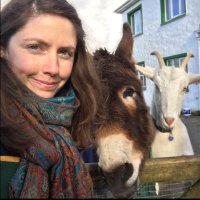 Aisling (@aislingbeecher) 's Twitter Profile
