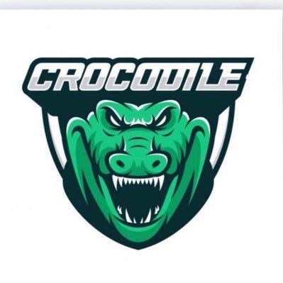 Equipe de basquete profissional - #gocrocodiles 🐊🏀