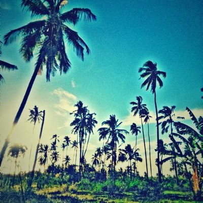 mOhamme16789967's profile picture. 