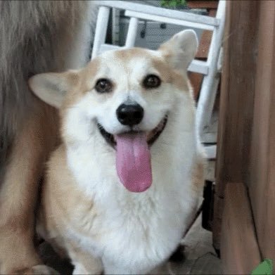 bornlucky09's profile picture. 