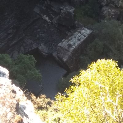 Tsakani_Miyelan's profile picture. 