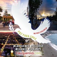 Cauquenino.Com (@ccauqueninocom) 's Twitter Profile Photo Cauquenino.Com (@ccauqueninocom) 's Twitter Profile Photo