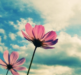 sunghyebaek's profile picture. Astrophysics and Archaeology