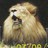 Leo0812's profile image