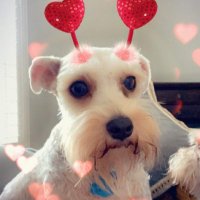 April (@axv01a) 's Twitter Profile