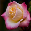 Steven Handley - @SDHandley - Twitter