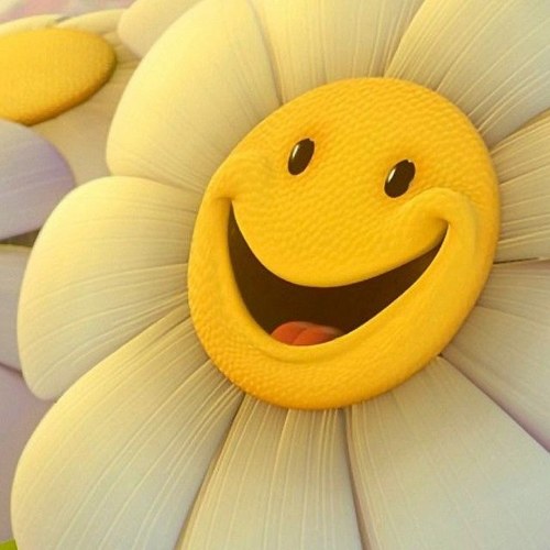 aerog_asa's profile picture. 