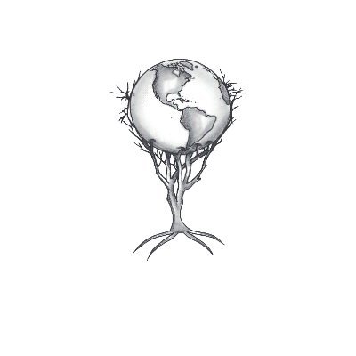 foretmedic's profile picture. Producteur d'espèces d'arbres et de plantes indigènes et en péril