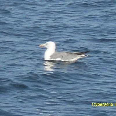 Giusepp56241000's profile picture. 