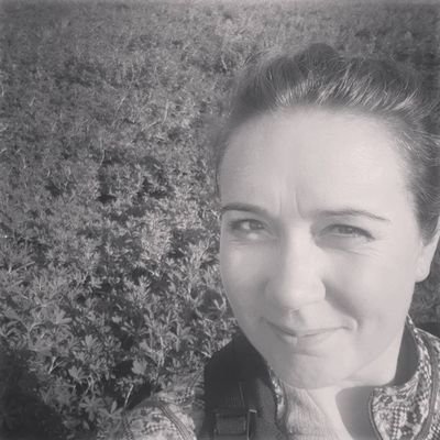 erlaros's profile picture. .