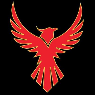 @Grauer_Phoenix