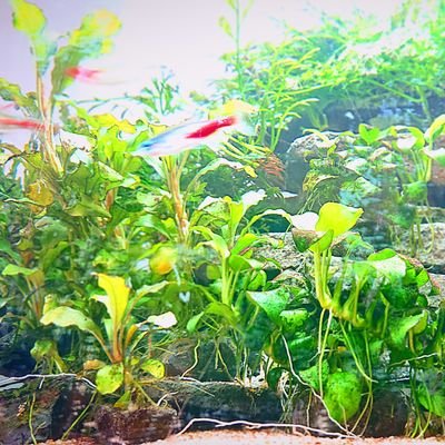 masao555556's profile picture. 