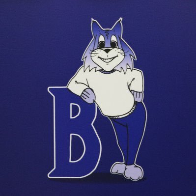 Brookside PTA Profile