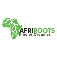 AFRIROOTS(@AFRIROOT) 's Twitter Profile Photo