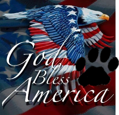 PATRIOT Forever. Love Trump, John, Q and Anons! GOD is LOVE is GOD! Not here just for fun; working hard for DJT, one of many digital warriors. NO DMs ! MAQA !