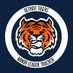 Detroit Tigers Minor League Tracker (@tiger_lifer) Twitter profile photo Detroit Tigers Minor League Tracker (@tiger_lifer) Twitter profile photo