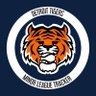 Tiger_Lifer's profile picture. Low-risk, high-reward. If he works out, you can flip him at the deadline. Insta: detroittigersmilbtracker