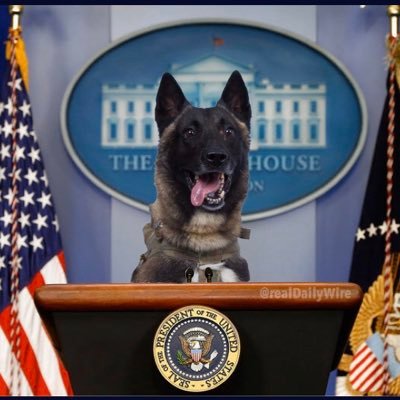 JazzyJ_02's profile picture. God, Family, Community (Country), and me. In that order.