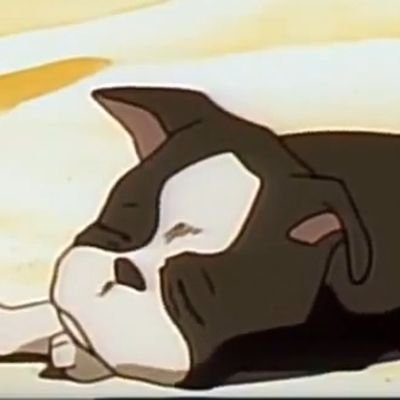 the aba rebloggerさんのプロフィール画像