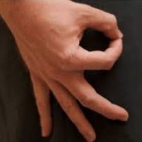 Joe Mama is ripe and ready. Where we dropping gamers?