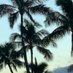 landoc (@orlohawaii) Twitter profile photo landoc (@orlohawaii) Twitter profile photo