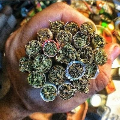 bigtugguy😎💪✌👌💯
nature lover🥦🍄💯
save the day with something💪💯