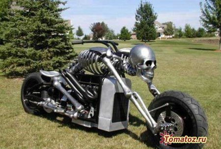 alyuty's profile picture. Странник