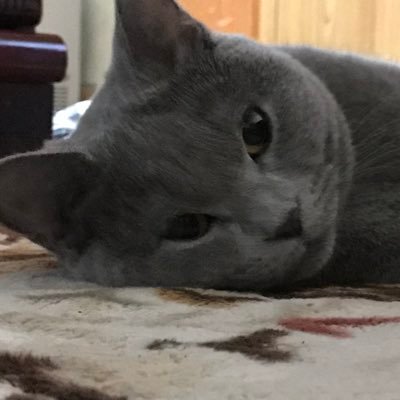 dpHcxXuqxN3nsSC's profile picture. 